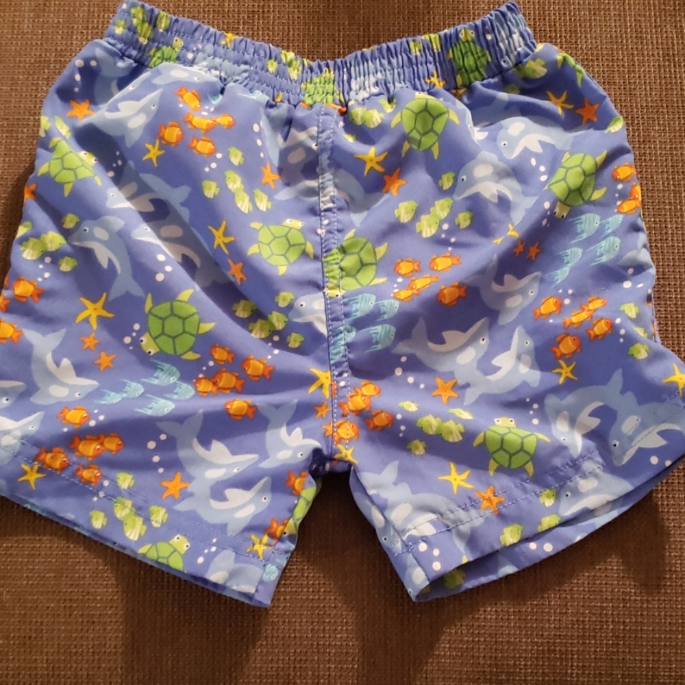 Baby Essentials 6 month swim trunks